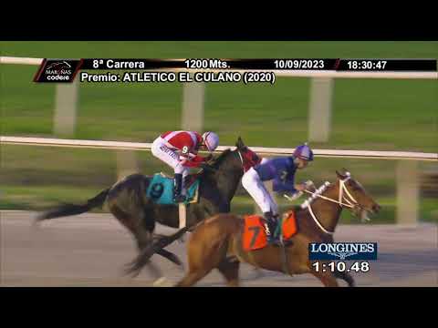 230910 c08 WALLMAPU (CHI)