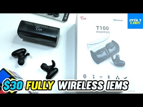 TRN T100 Unboxing - $30 Fully Wireless IEMs! 🔥