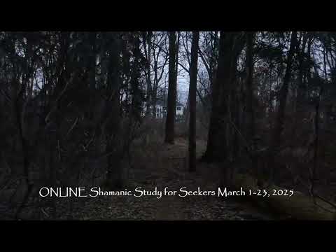 Shamanic Study for Seekers ONLINE March 1 - 23, 2025
