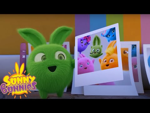 SUNNY BUNNIES - FAMILY TIME COMPILATION | Cartoons for Kids