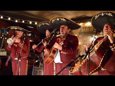 Promotional video thumbnail 4 for Mariachi Fuego