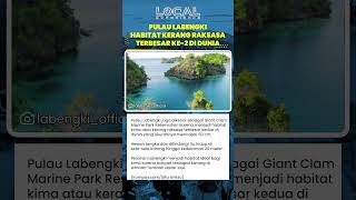 Pulau Labengki jadi Habitat Kima Raksasa Terbesar Kedua Dunia dengan Ukuran hingga 50 cm Terbesar