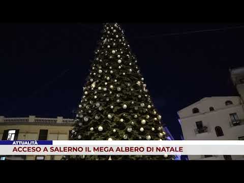 ATTUALITÀ. ACCESO A SALERNO IL MEGA ALBERO DI NATALE
