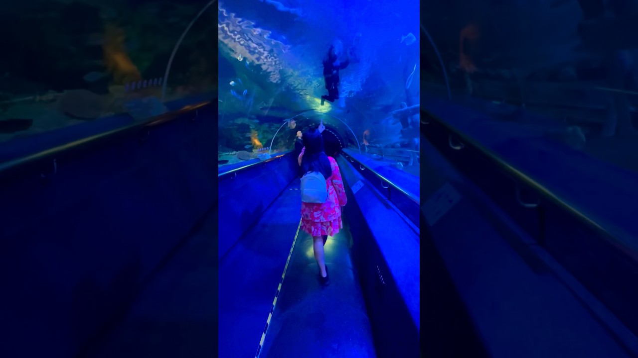 YouTube Short thumbnail