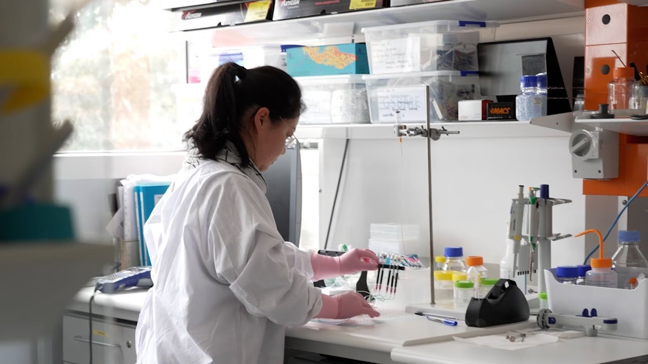 Make an impact in Data, Technology and AI at UNSW Sydney