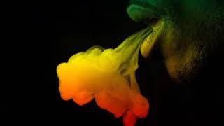 Best of German Reggae / Seeed - New dubby Conqueror's