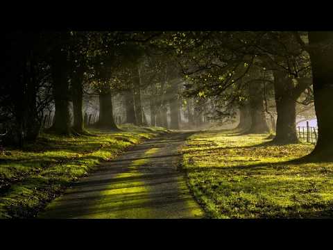 Mike Shiver - Morning Drive