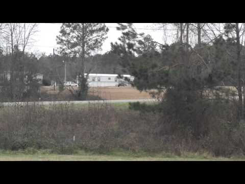 Grizzly 16 duals sound level