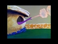 Bedrock Dinosaur And Creature Sneezes