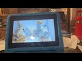 African Animal Alphabet Song