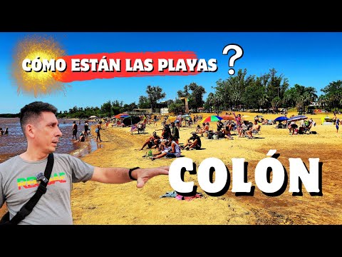 CÓMO están las PLAYAS ❓ BAJA EL RÍO ❓ ESCAPADA a COLÓN | Entre Ríos ⛱️ #PRECIOS #VERANO 2026 🇦🇷