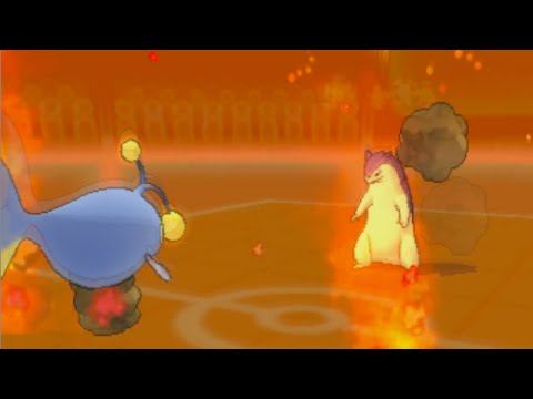 Haydunn vs. Joey | Pokemon X/Y Wifi Battle