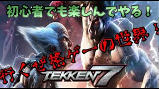 ド初心者の「TEKKKEN」