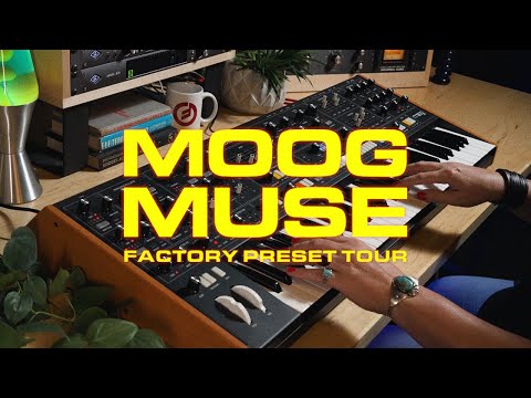 Moog Muse 8-Voice Polyphonic Analog Synthesizer STAGE RIG image 7