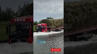 Download lagu Hay Trucks Brave a Raging River Crossing ‼️😱 #truck #shortsviral #shorts mp3 Download lagu Hay Trucks Brave a Raging River Crossing ‼️😱 #truck #shortsviral #shorts mp3
