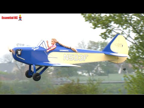 FLYBABY ! CARF Models | ProWing 2023