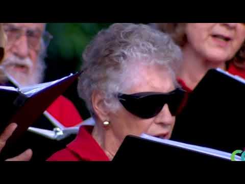 Plymouth Rockers  - For the Beauty