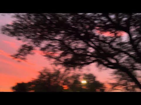 Watercolors (sunglasseskid x Karsten Belt)