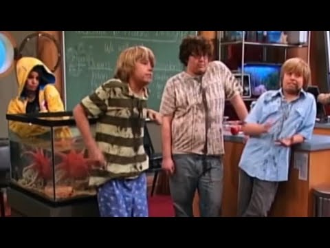 THE SUITE LIFE ON DECK (OUT OF CONTEXT)
