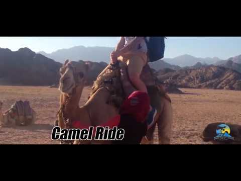 Camel Ride in Egypt