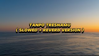 Download lagu Tanpo Tresnamu - Denny Caknan ( Slowed   Reverb Version ) mp3