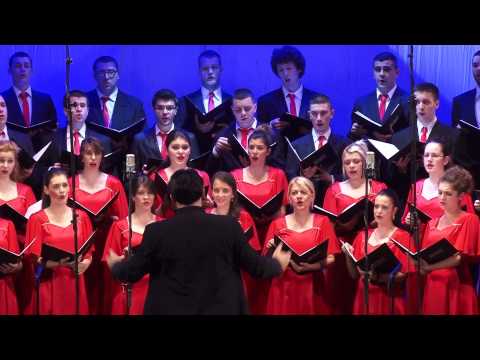 II rukovet -- S. Andrić