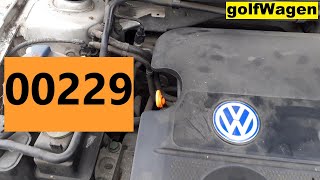 Reparación efectiva y code 00229 Great wall