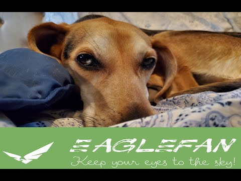 EagleFan Reacts to Violent Shadows by Blind Guardian - LOVE IT