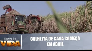 Miniatura do vídeo