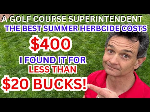 How I Found a $20 Weed Killer That Beats the $400 One!