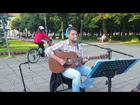 Raul Bochis - House of the Rising Sun ( The Animals )