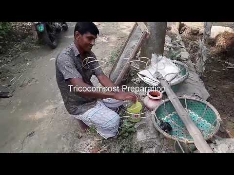 ট্রাইকো কম্পোস্ট প্রস্তুতির প্রাথমিক পর্যায় || কৃষি কড়চা||KRISHI KORCA!!TRICO COMPOST PREPARATION!