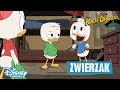 Ukryty Skarbiec Sknerusa McKwacza Kacze Opowieści Oglądaj W Disney Channel