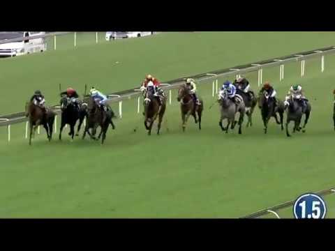 Mount Laurel Turffontein 4 January 2019