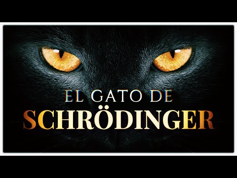 EL GATO DE SCHRÖDINGER 📦🐈 | ¿Un Asesinato Cuántico o la Puerta a una Realidad Paralela?