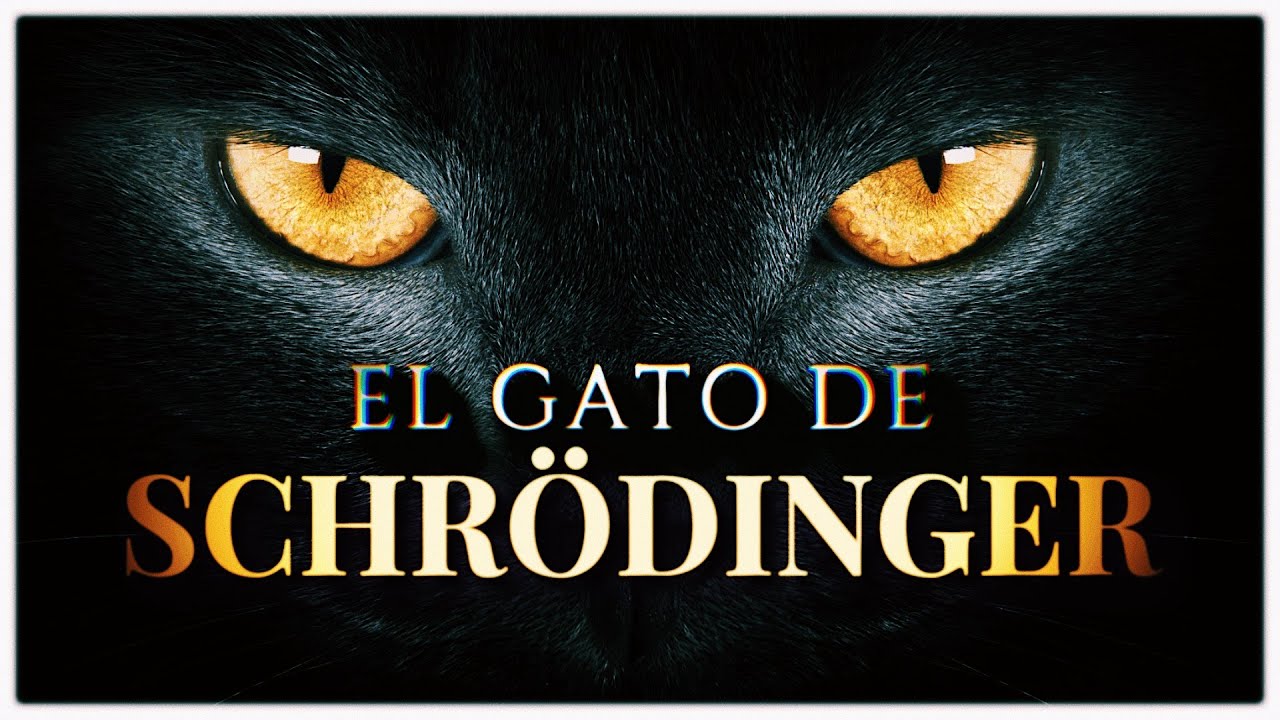EL GATO DE SCHRÖDINGER 📦🐈 | ¿Un Asesinato Cuántico o la Puerta a una Realidad Paralela?