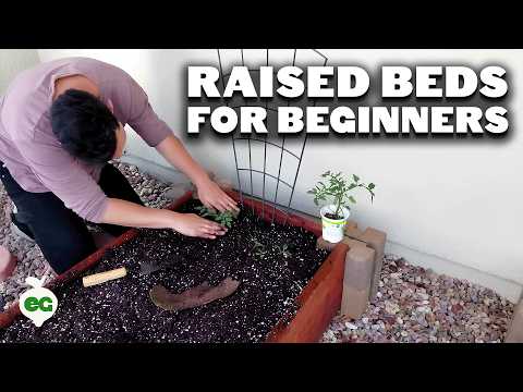 9 Beginner Raised Bed Garden Mistakes to Avoid