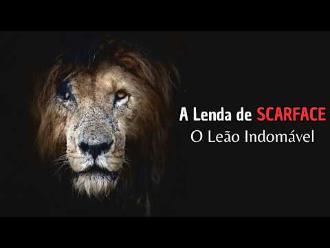 Scarface: A Verdadeira História do Leão Mais Famoso da África | Documentário Completo