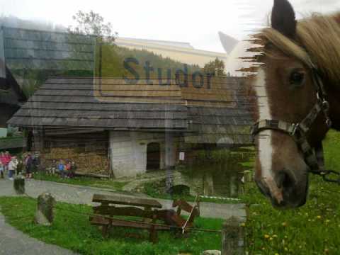 MRCINA RANČ BOŽNAR, KONJEREJSKO REKREACIJSKI CENTER, STUDOR, K D