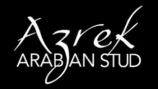 preview picture of video 'Azrek Arabian Horses'