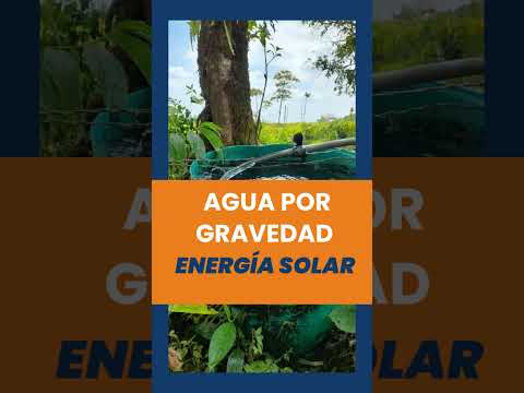 finca en lejanías meta, 26 hectáreas a 10 km del pueblo #LejaníasMeta #realestate #fincallanosariari
