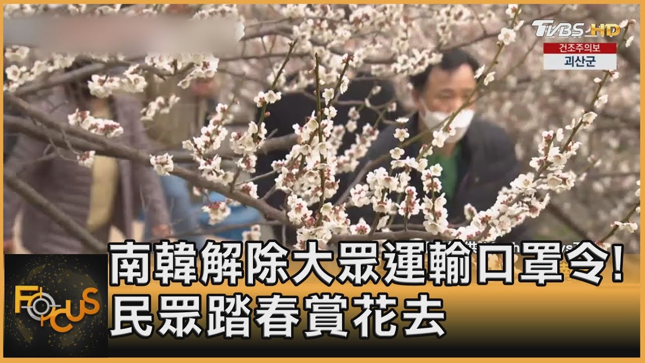 南韓解除大眾運輸口罩令！民眾踏春賞花去