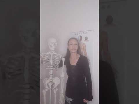 Überblick Gelenke Obere Extremität