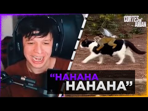 ARUAN REAGE A SOUTH AMERICA MEMES (TENTE NÃO RIR) PARTE 37 - Cortes do Aruan