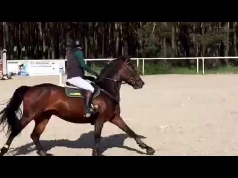 Fun Risk ZR Olsza Majowy Laur Olszy Klasa C 15.05.2016