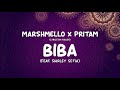 UnbenaMarshmello x Pritam - BIBA feat. Shirley Setia & Shahrukh Khan (Official sound)