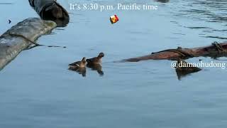 It’s 8: 30 p m  Pacific time (1)