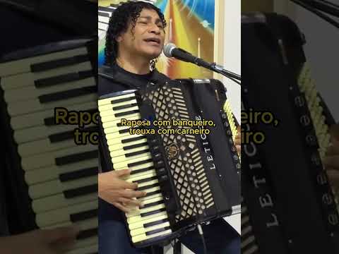 Forró Da Bicharada - Sivuca