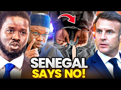 BREAKING: Senegal DECLARES Legal War on France, Paris in TOTAL SHOCK!