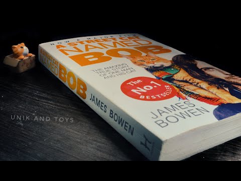 A Street Cat Named Bob | The Big Issue cat | Toy Photography | book | James Bowen | Kitten | #105